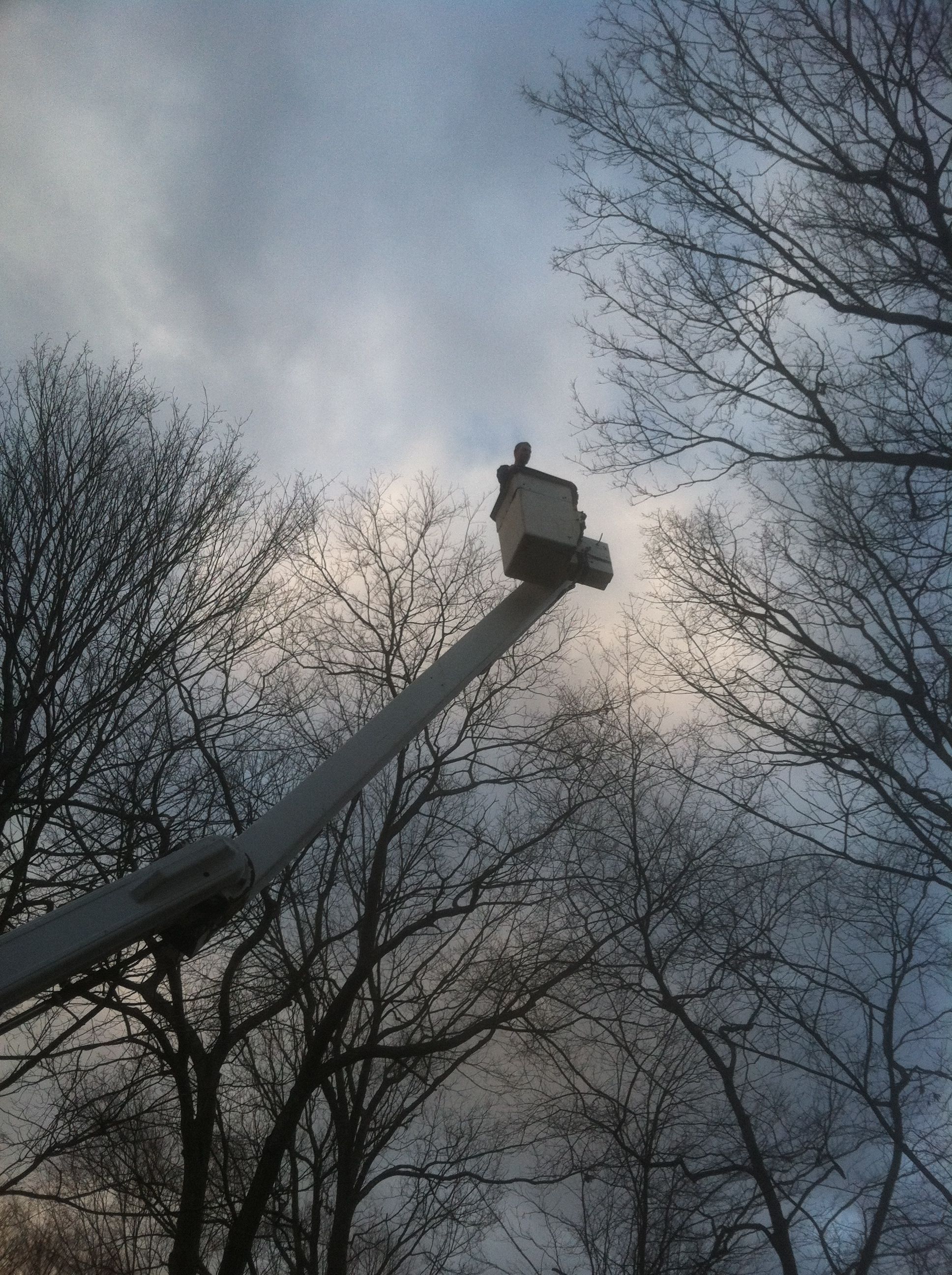 Yale Pest technician on ladder removing hornet nest from residential property