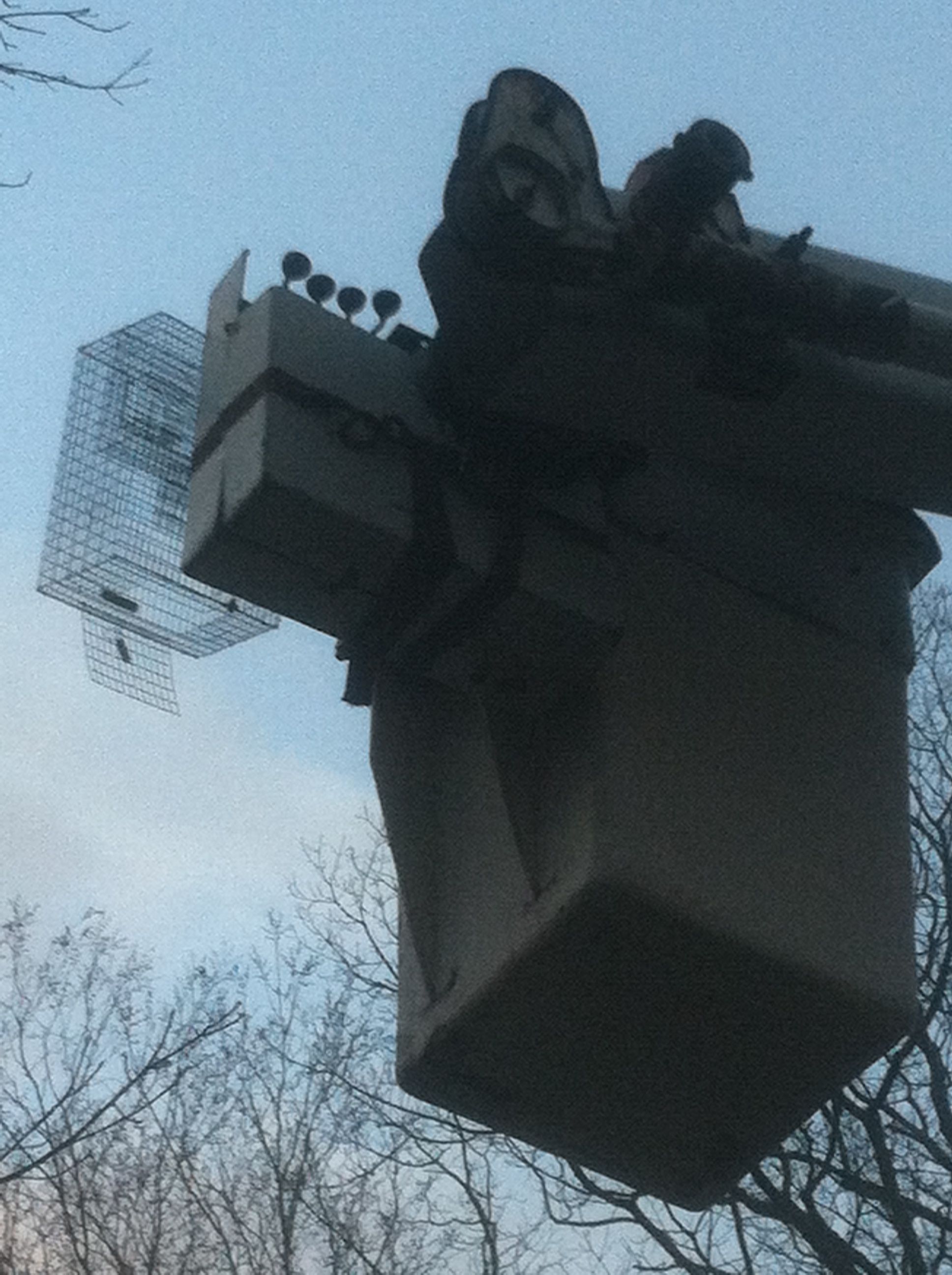 Yale Pest serving fairfield-county 4