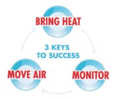 Bed Bug Treatment CT 4
