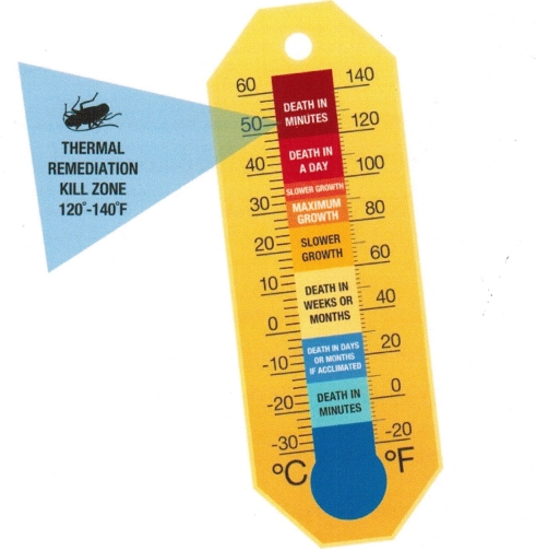 Bed Bug Treatment CT 6