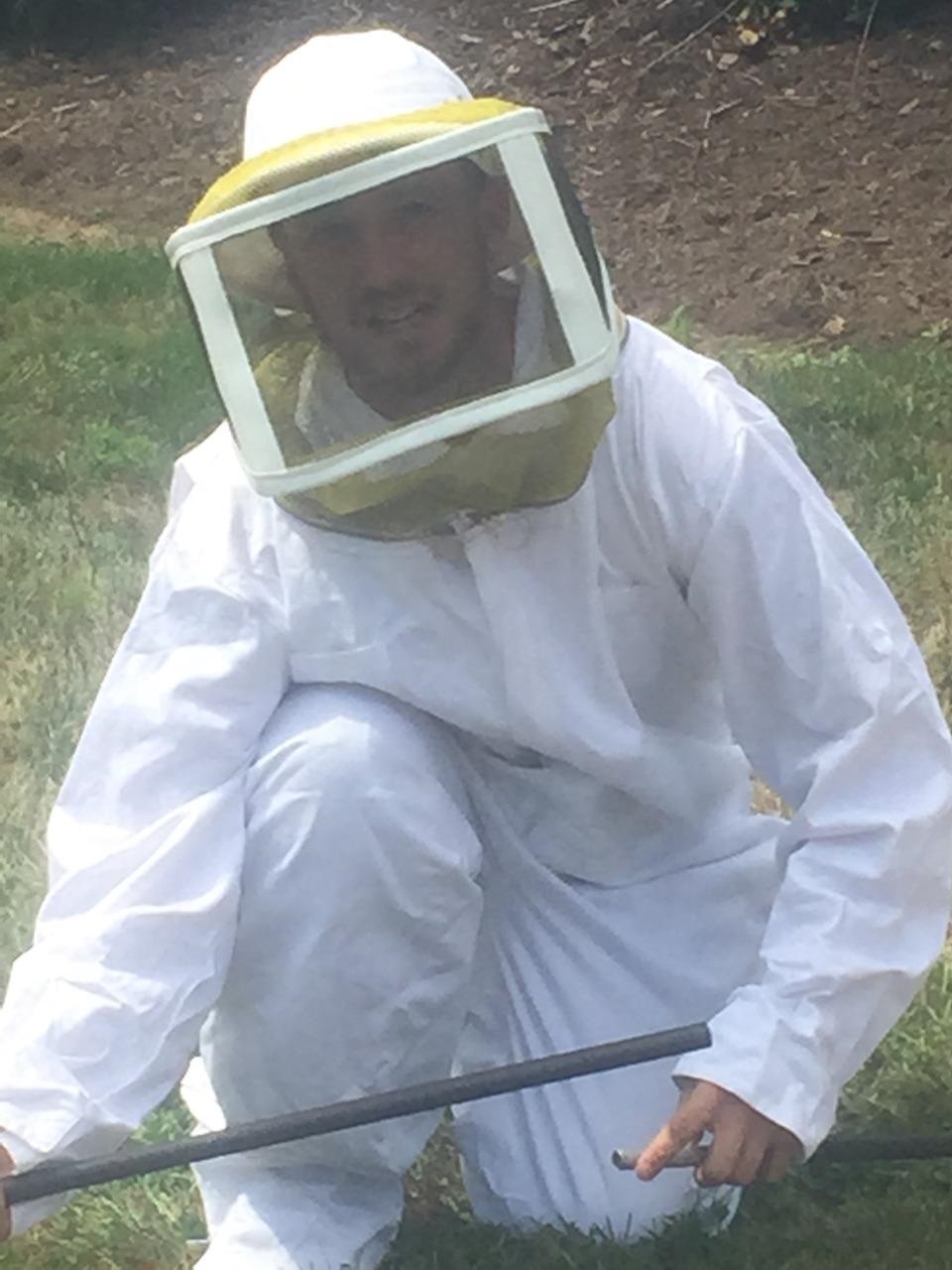 Carpenter Bee Control CT 6