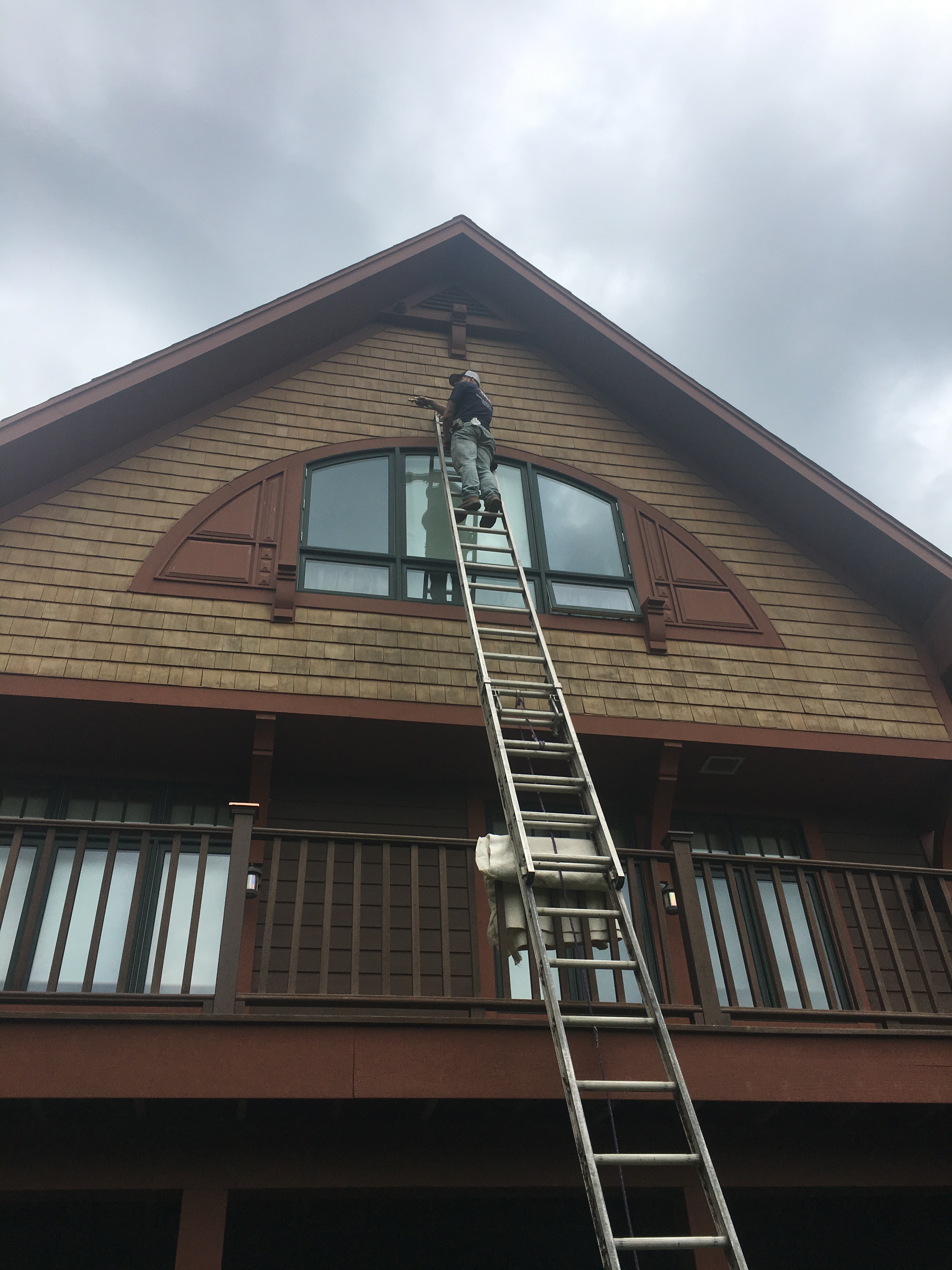 Bee, Wasp & Hornet Removal CT 3