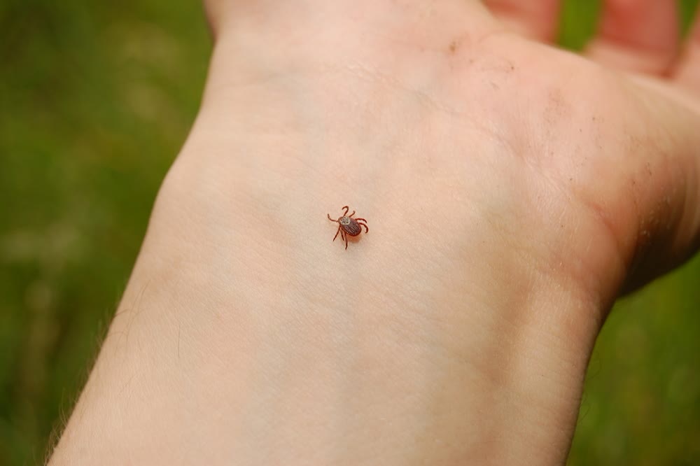 Tick Control & Prevention CT 3