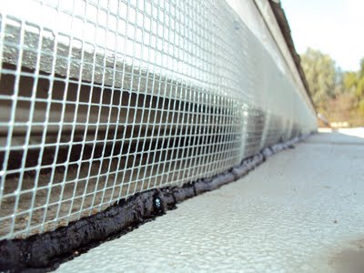 Wildlife Removal CT 2