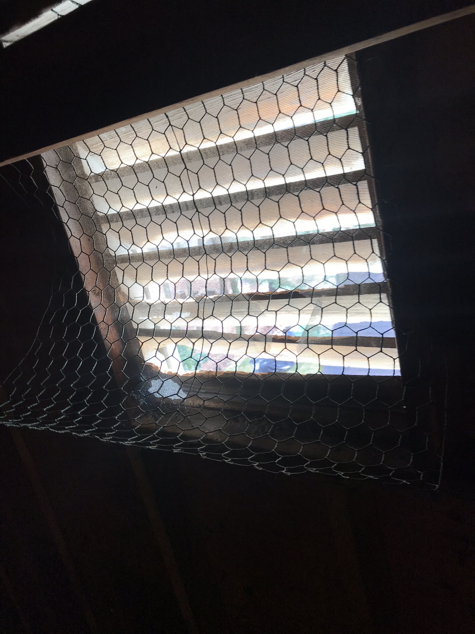 Wildlife Removal CT 6